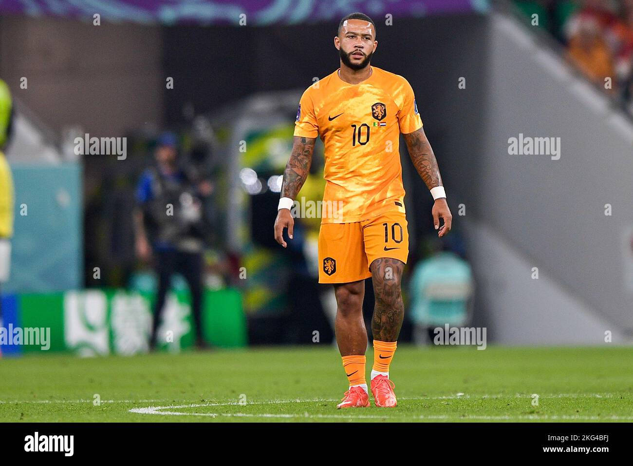 DOHA, QATAR - NOVEMBRE 21 : Memphis Depay des pays-Bas pendant le groupe A - coupe du monde de la FIFA Qatar 2022 match entre le Sénégal et les pays-Bas au stade Al Thumama sur 21 novembre 2022 à Doha, Qatar (photo par Pablo Morano/BSR Agency) Banque D'Images