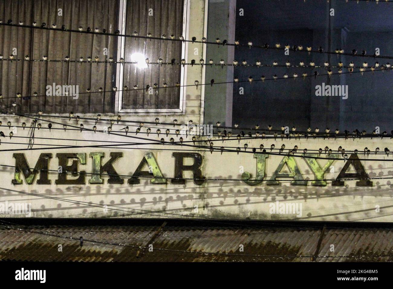 Yogyakarta, Indonésie. 21st novembre 2022. Un troupeau de la Cygne asiatique (Hirundo Rustica) perche sur un câble dans la région de Gondomanan. La ville de Yogyakarta est une destination de migration pour les troupeaux de cerfs-volants asiatiques, dans les hémisphères du nord tels que la Sibérie, la Russie, la Mongolie et la Chine sont des zones de reproduction pour ces oiseaux. Crédit : SOPA Images Limited/Alamy Live News Banque D'Images