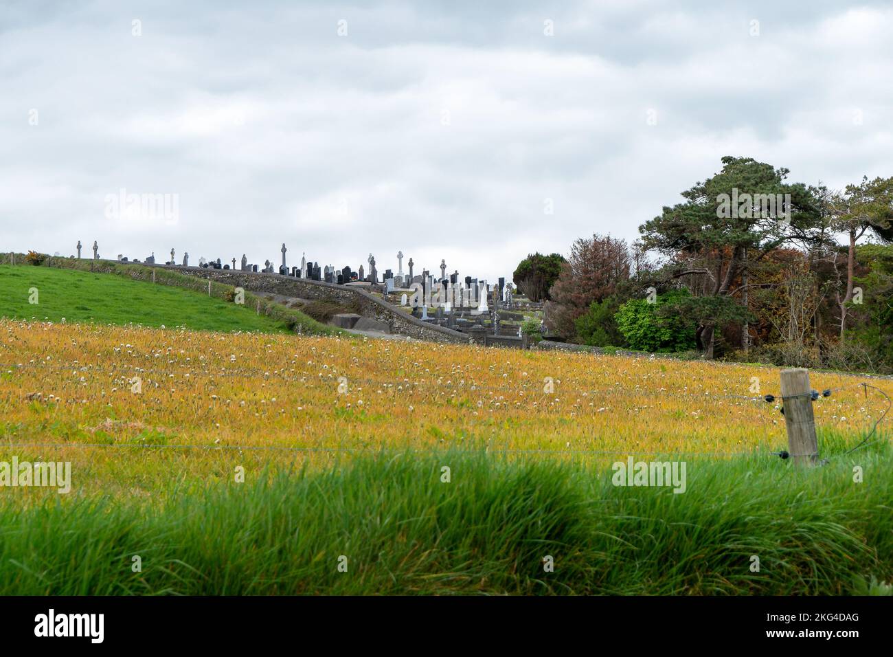 Un champ de ferme pittoresque par une journée de printemps nuageux. Un petit cimetière chrétien près du champ. Paysage. Champ d'herbe vert et jaune sous les nuages blancs Banque D'Images