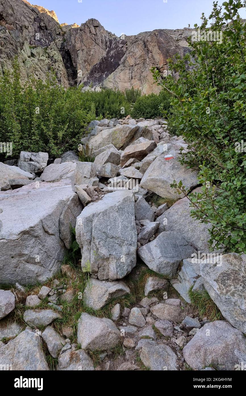 Sentier Rocky sur le chemin jusqu'à Bocca alle porte, GR20, Corse, France Banque D'Images