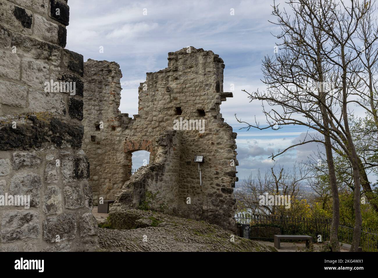 Le Rhin traverse le paysage allemand un jour d'automne Banque D'Images