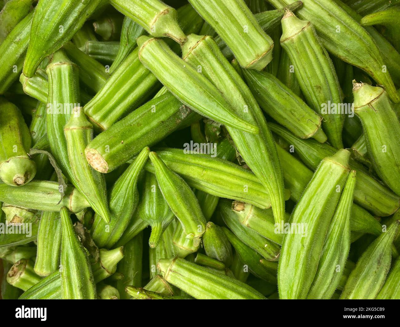 Green Okra frais, nourriture saine, vue rapprochée de l'Okra, fond, okras frais du marché agricole local, produits biologiques au supermarché Banque D'Images