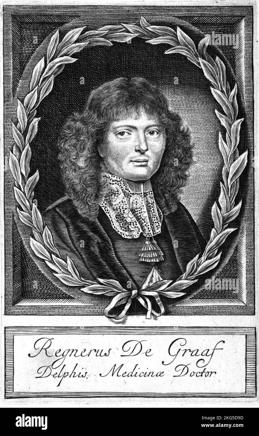 Regnier de Graaf (1641 – 1673) médecin, physiologiste et anatomiste néerlandais Banque D'Images