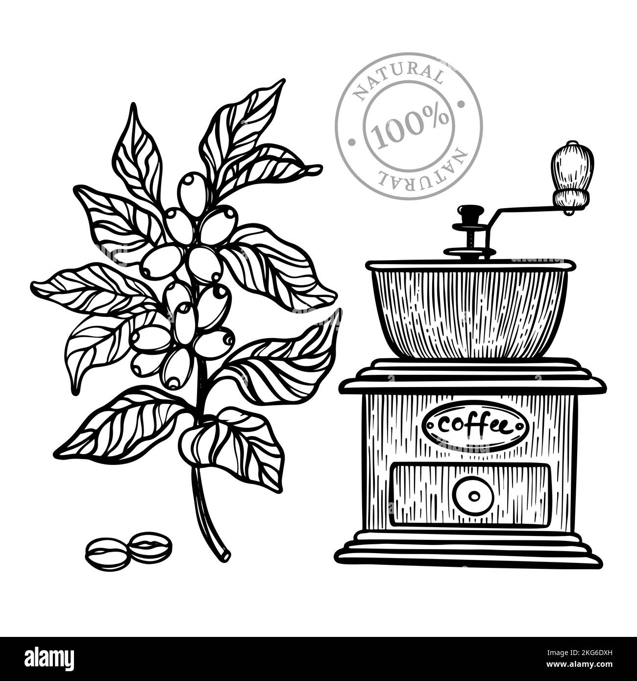 MOULIN À CAFÉ conception d'autocollants et d'étiquettes pour les produits de boissons à dessert dans un style ancien Monochrome dessin main clip Art Vector Illustration Illustration de Vecteur