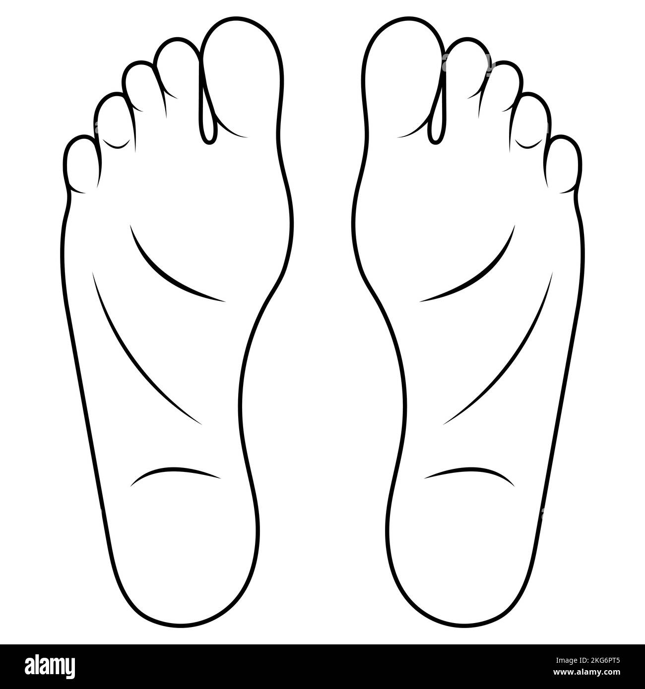 Homme dessin de pied dessin dessin, taille de chaussure pied anatomie humaine semelle Illustration de Vecteur