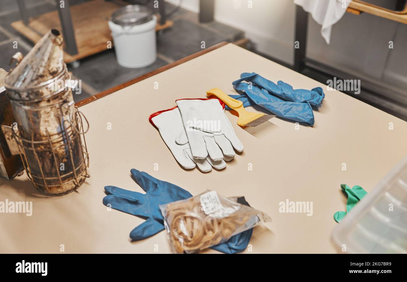 Apiculture, soufflets d'abeille et gants en atelier pour la sécurité, l'équipement ou l'agriculture au travail apicole. Usine de apiculteur, epi ou usine pour la préparation Banque D'Images