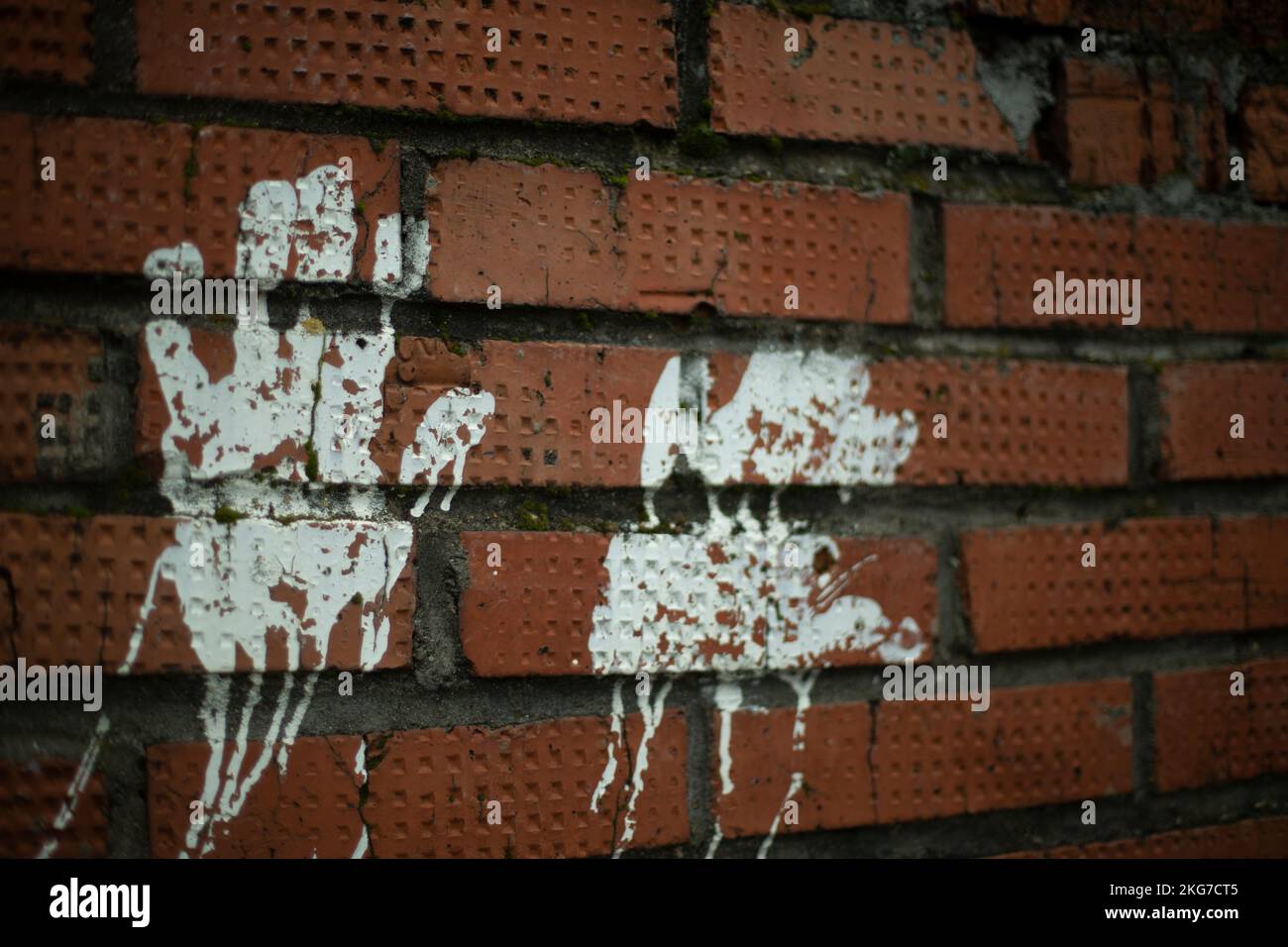 Imprimé à la main sur un mur de briques. Imprimé palmiers avec peinture blanche sur le mur. Bébé mains dans la peinture. Marque blanche sur la brique rouge. Banque D'Images