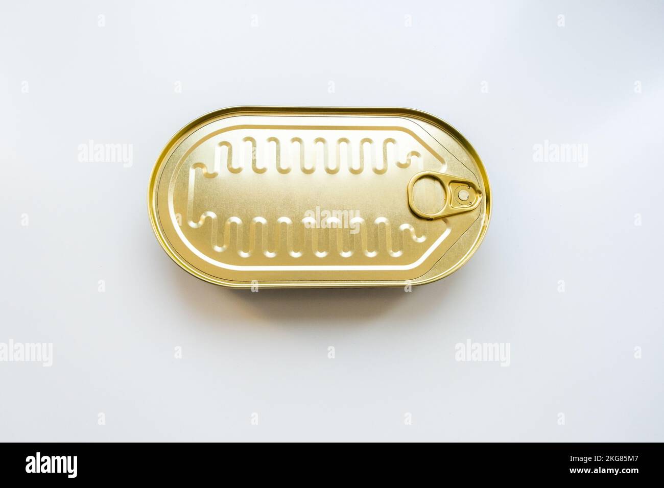 Ferme les sardines en conserve sur fond blanc Banque D'Images