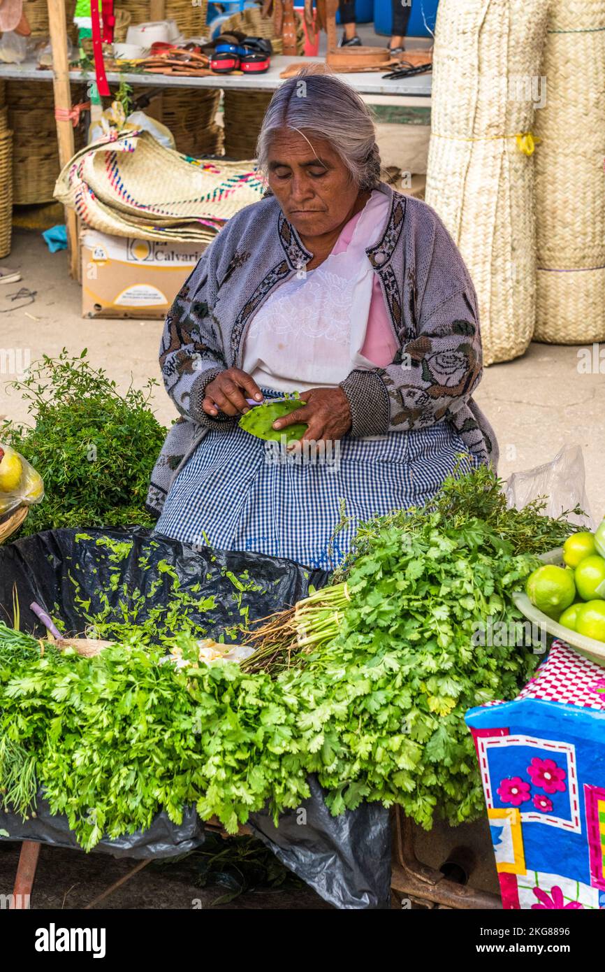 Une femme Zapotec dans son tablier typique peels cactus pads à vendre sur le marché hebdomadaire à Zaachila, Oaxaca, Mexique. Banque D'Images