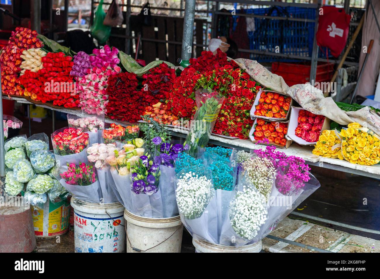 Marché aux fleurs Quảng Bá, Hanoï, Vietnam Banque D'Images