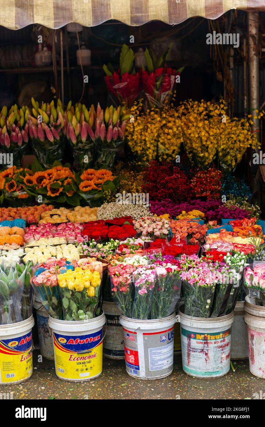 Marché aux fleurs Quảng Bá, Hanoï, Vietnam Banque D'Images