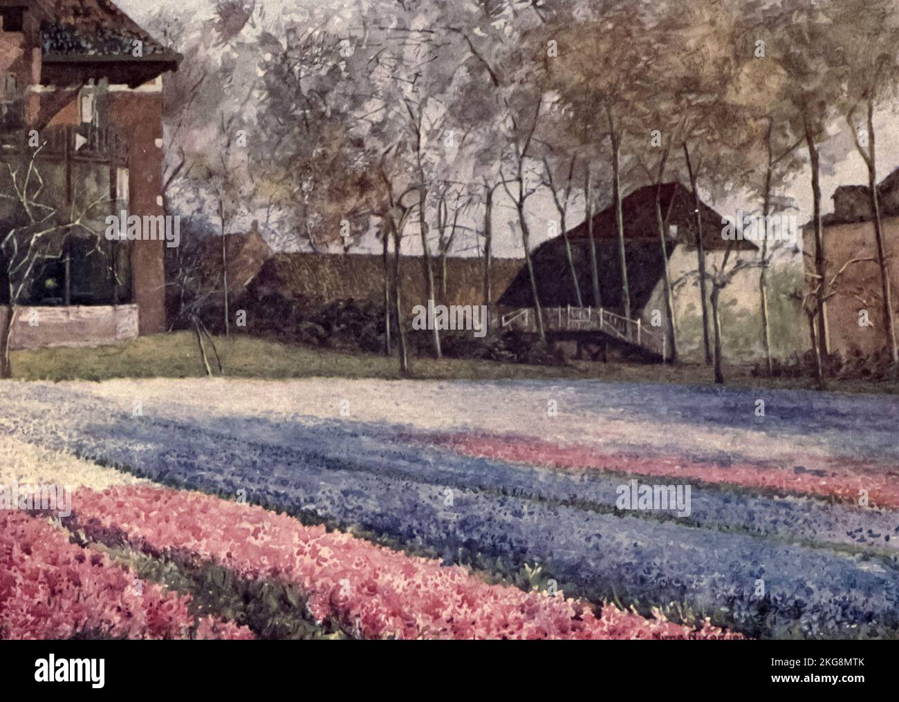 Un jardin hollandais au printemps peint par Mima Nixon, d'après le livre ' les bulbes et jardins hollandais ' de Silberrad, una Lucy, Date de publication 1909 Editeur Londres : A. et C. Black Banque D'Images