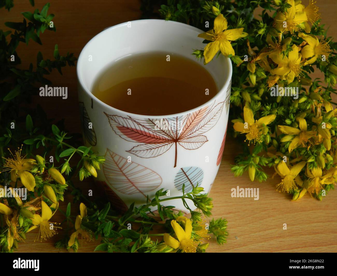 Vue panoramique sur les fleurs et le thé de la plante du millepertuis perforés Banque D'Images