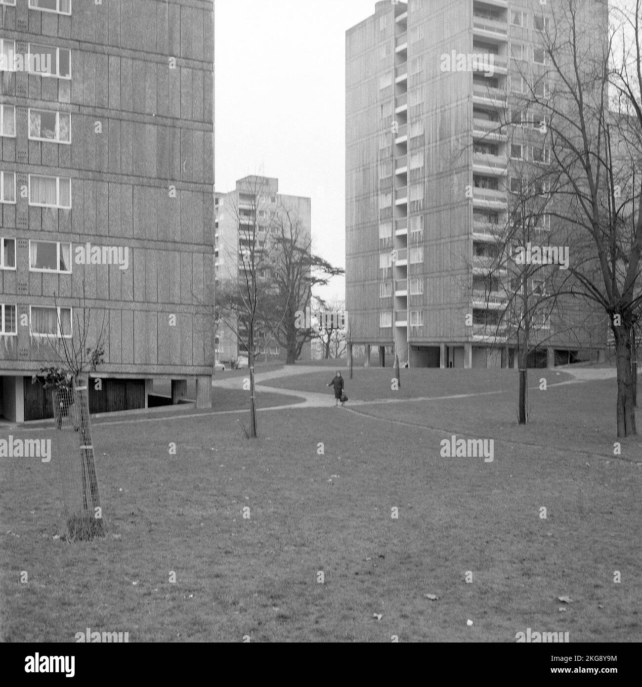 Le domaine de logement d'Alton Roehampton en 1972 Banque D'Images
