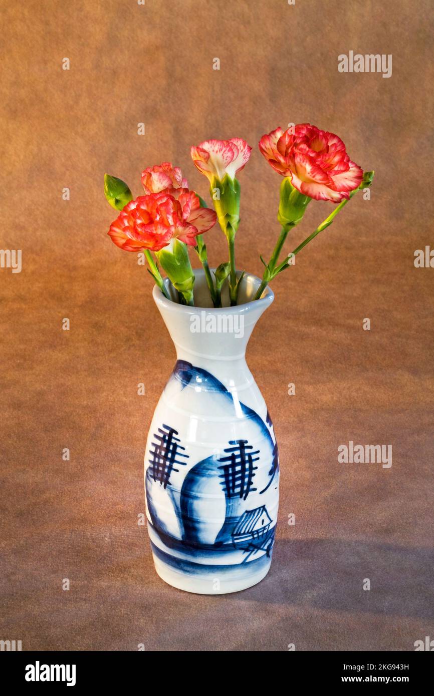 Un vase d'œillets sur fond sombre. Banque D'Images