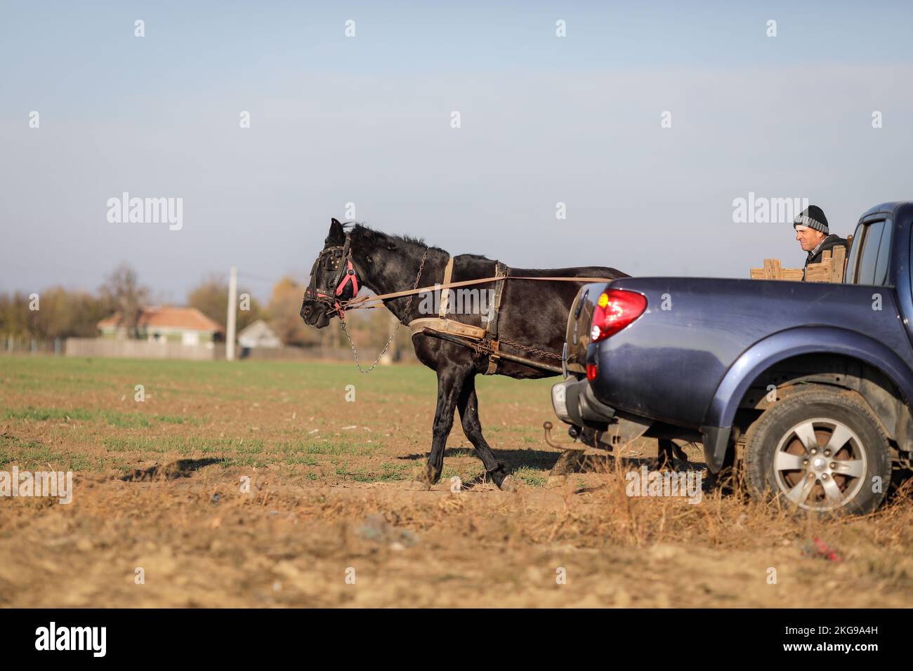 Ialomita, Roumanie - 19 novembre 2022 : un agriculteur roumain conduit son cheval et sa voiturette près d'une voiture à travers un champ pendant une journée d'automne ensoleillée. Banque D'Images