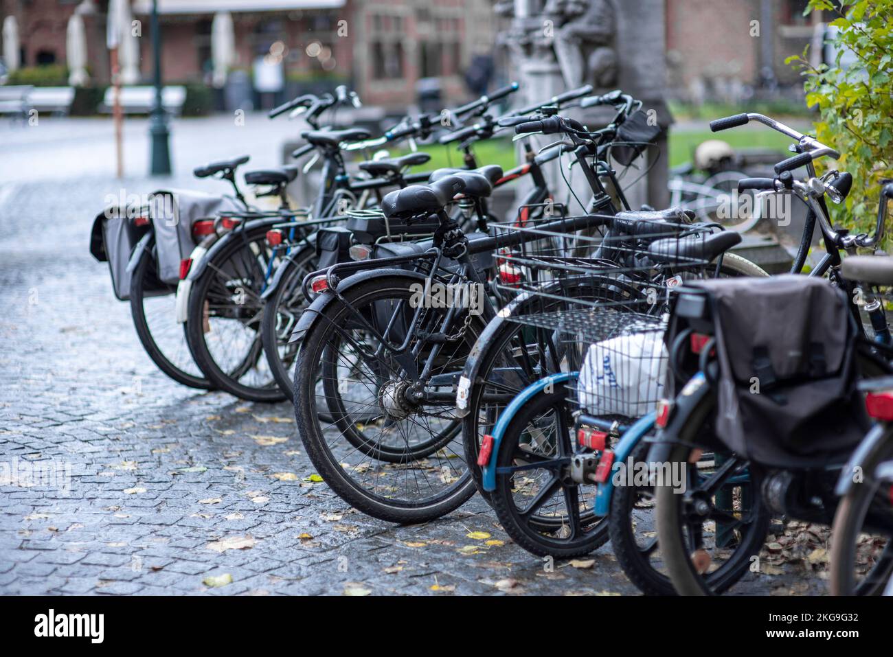 Vélos garés en Belgique Banque D'Images
