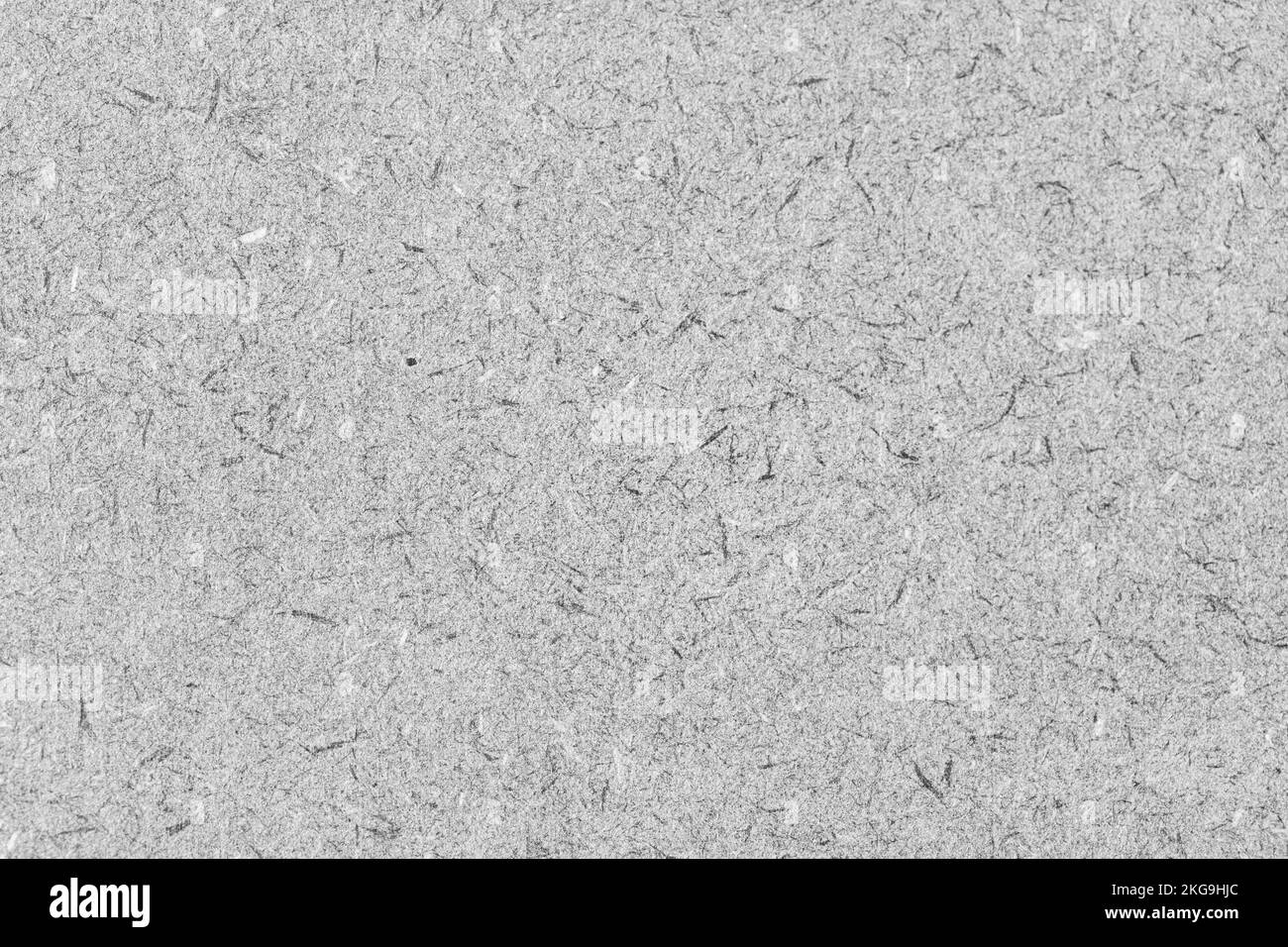 Gris panneau de fibres MDF Bois abstrait texture d'arrière-plan. Plein format Banque D'Images