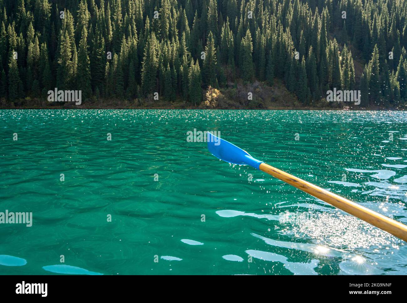 Eau verte du lac face aux épinettes couvrant la colline. Le bateau est équipé d'un jet d'eau Banque D'Images