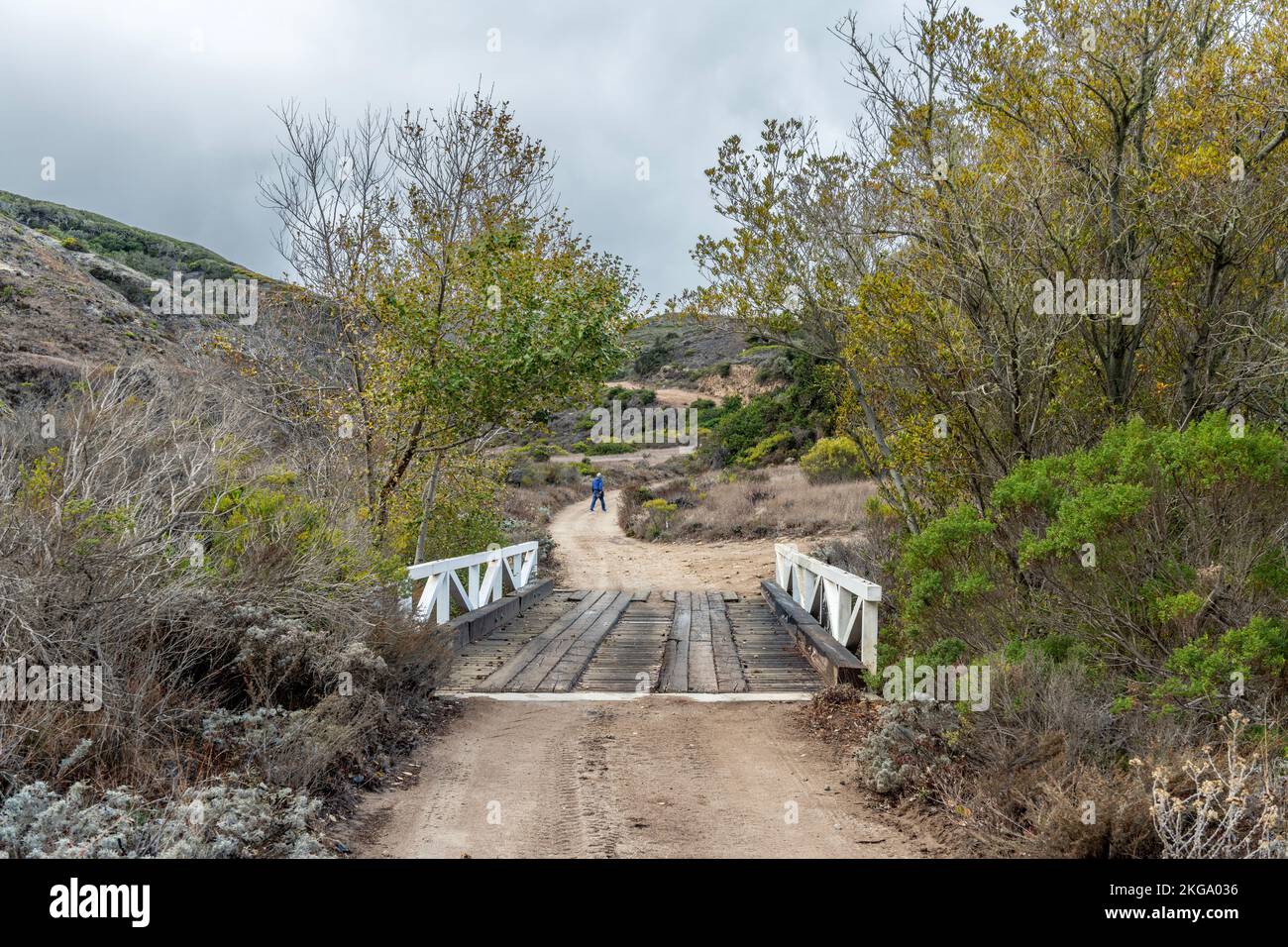 Un pont en bois relié à un train de terre commence une randonnée sur l'île Santa Rosa, dans les îles Anglo-Normandes de Californie. Banque D'Images