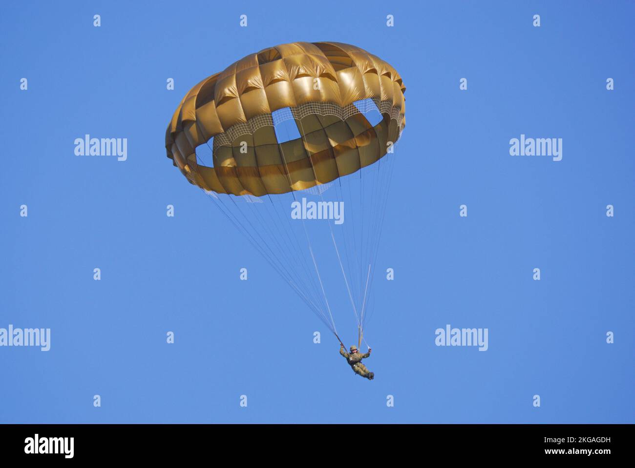 Préfecture de Chiba, Japon - 10 janvier 2010 : parachutiste de la JGSDF (force d'autodéfense terrestre du Japon). Banque D'Images