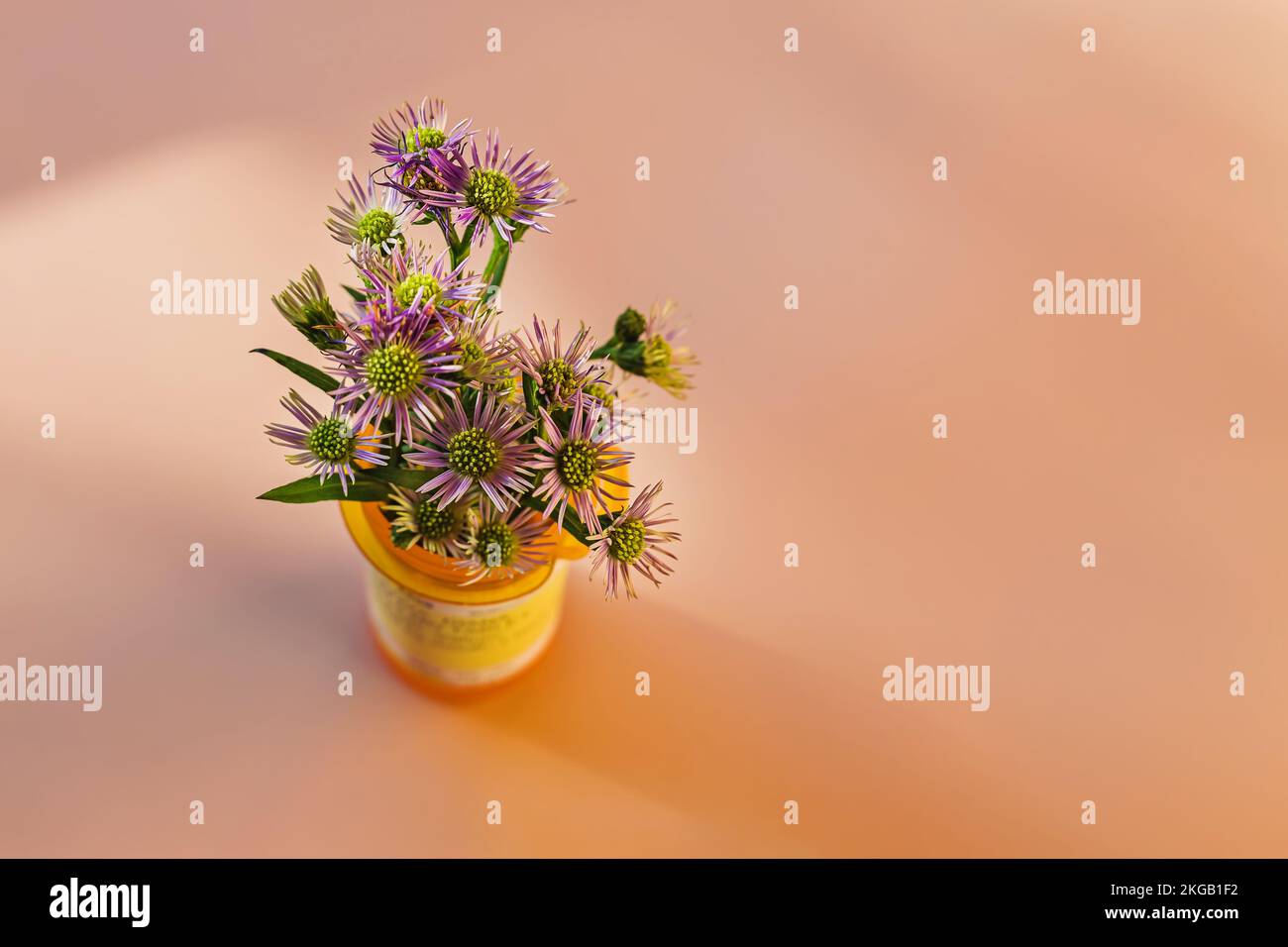 Fleurs dans la bouteille en plastique orange pour le médicament prescrit. Concept de médecine alternative. Mise au point sélective Banque D'Images