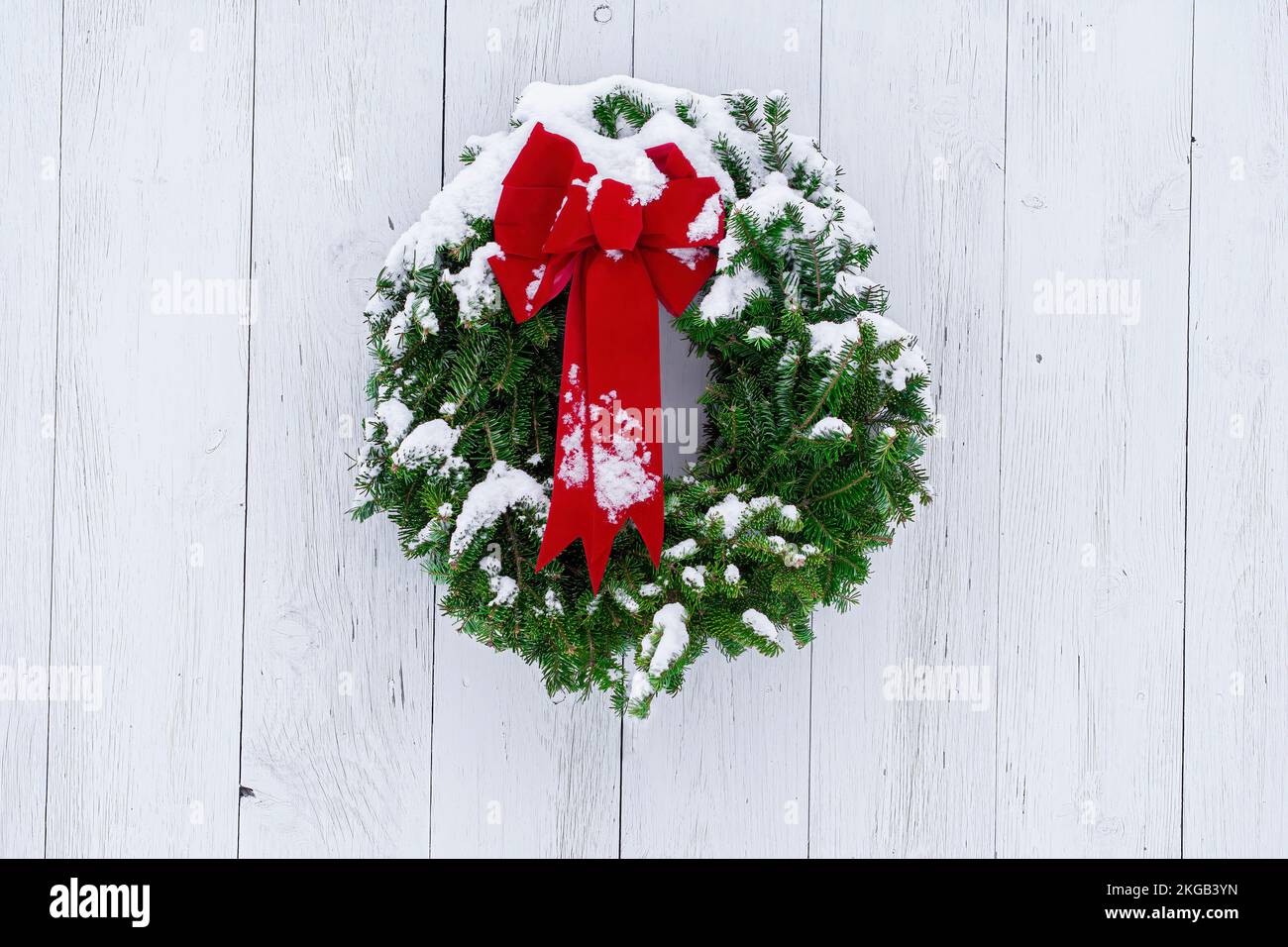 Couronne de Noël à aiguilles de pin enneigées et noeud rouge sur une large porte en bois blanchie à la chaux et aux intempéries. Noël rustique, rural, naturel, traditionnel. Banque D'Images