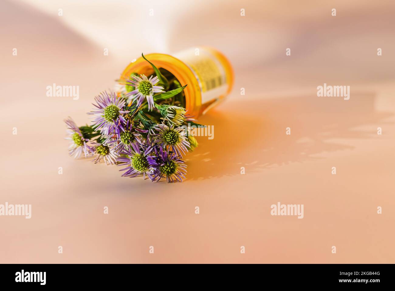 Fleurs dans la bouteille en plastique orange pour le médicament prescrit. Concept de médecine alternative. Mise au point sélective Banque D'Images