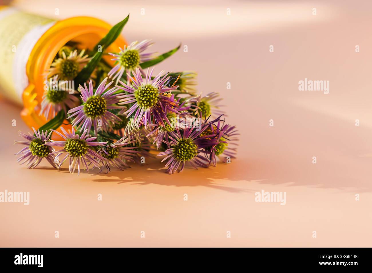 Gros plan des fleurs placées dans la bouteille en plastique orange pour le médicament prescrit. Concept de médecine alternative. Mise au point sélective Banque D'Images