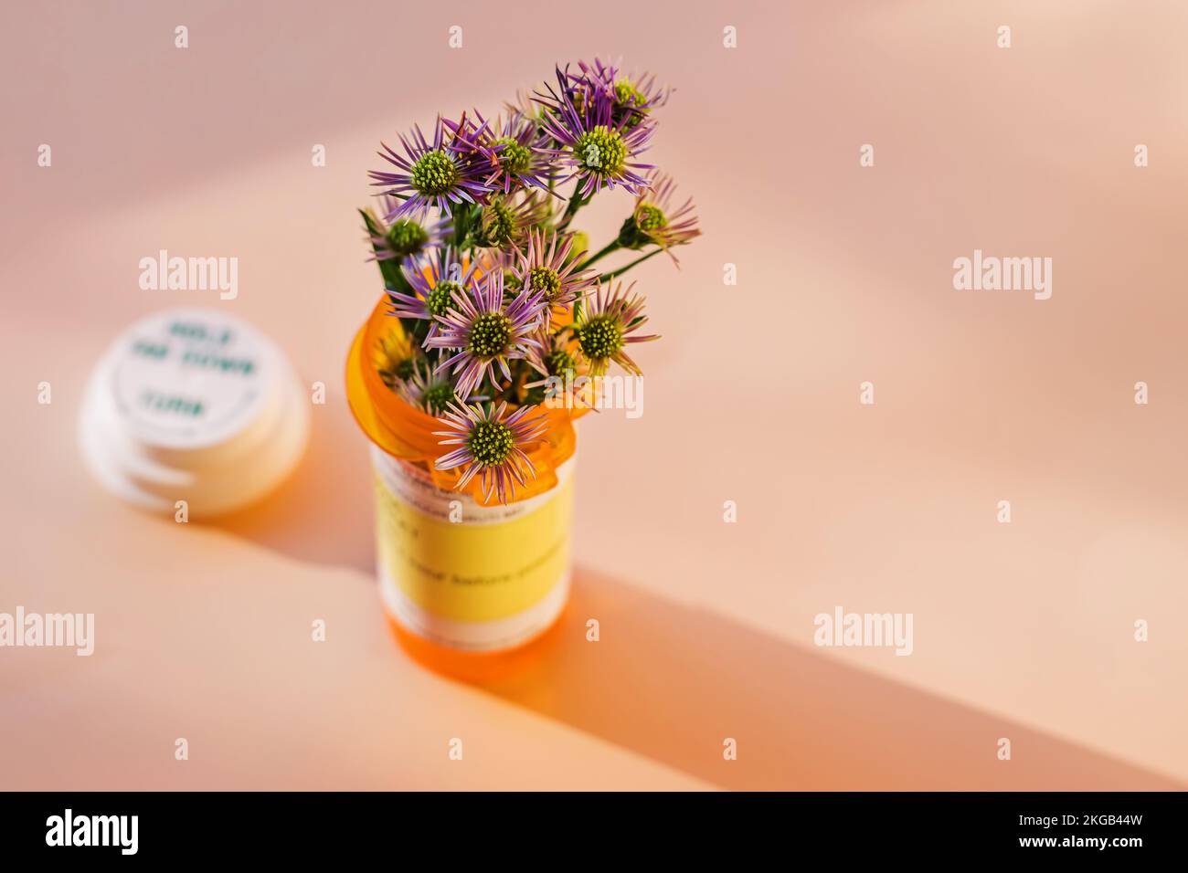 Fleurs placées dans la bouteille en plastique orange pour le médicament prescrit. Concept de médecine alternative. Mise au point sélective Banque D'Images