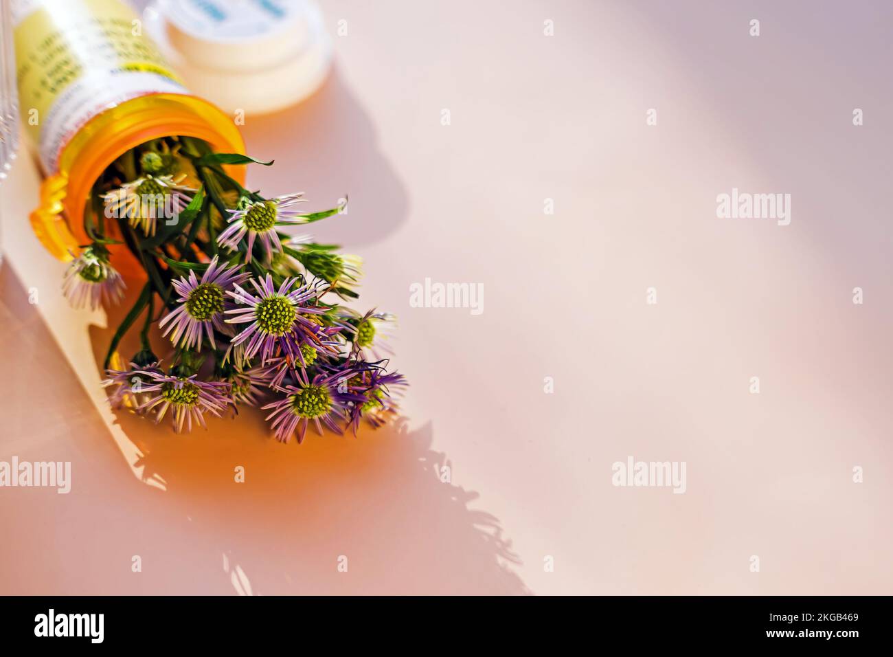 Gros plan des fleurs placées dans la bouteille en plastique orange pour le médicament prescrit. Concept de médecine alternative. Mise au point sélective Banque D'Images