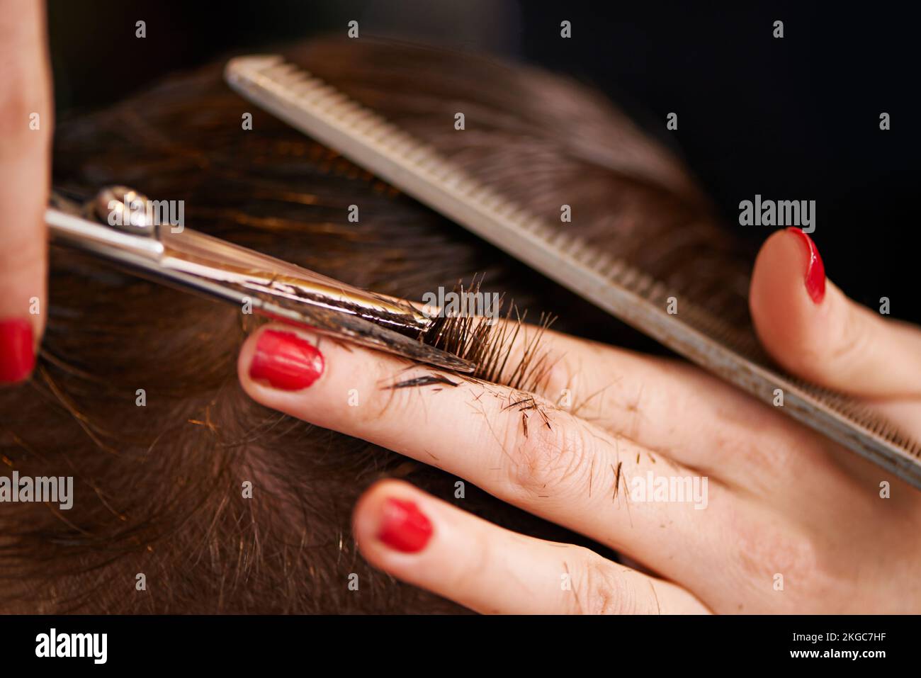 Style professionnel. Gros plan d'une personne ayant ses cheveux coupés dans un salon de coiffure. Banque D'Images