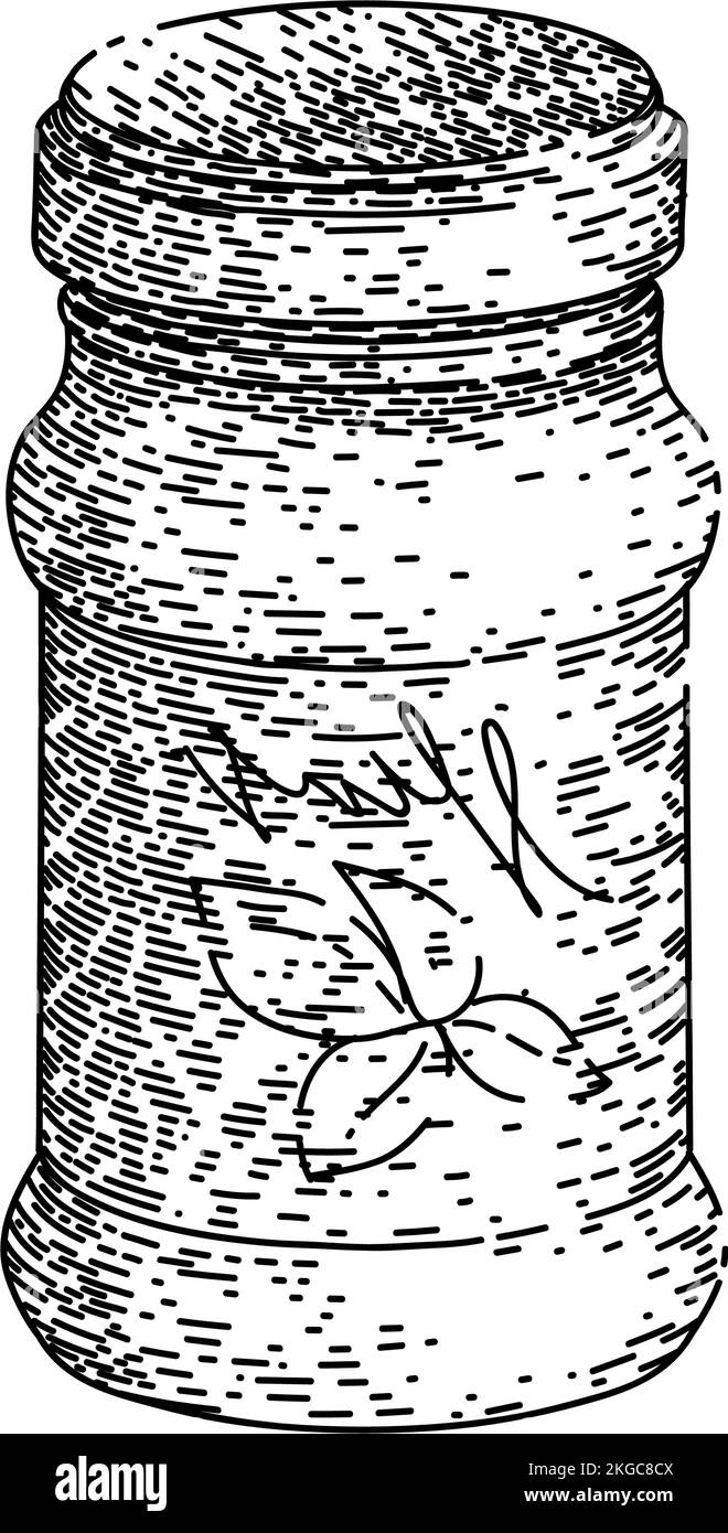 vecteur tracé à la main de l'esquisse du flacon de pesto Illustration de Vecteur