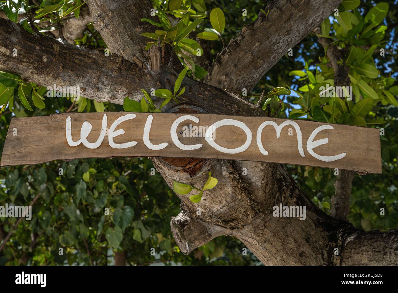Affiche de bienvenue accrochée à un arbre Banque D'Images