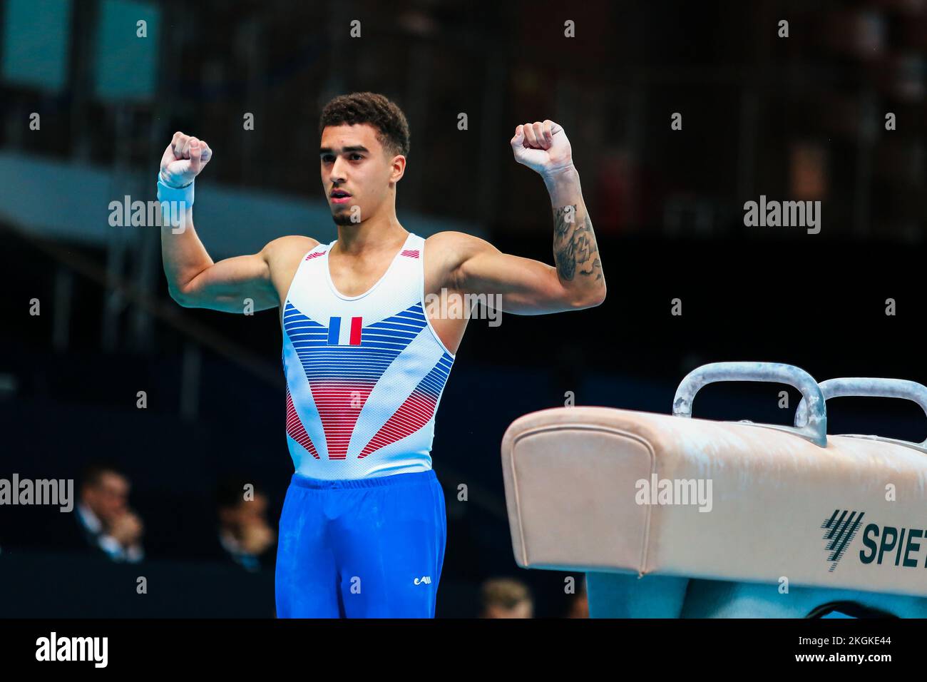 Szczecin, Pologne, 10 avril 2019: L'athlète olympique français Frasca Loris est en compétition sur le cheval de Pommel Banque D'Images