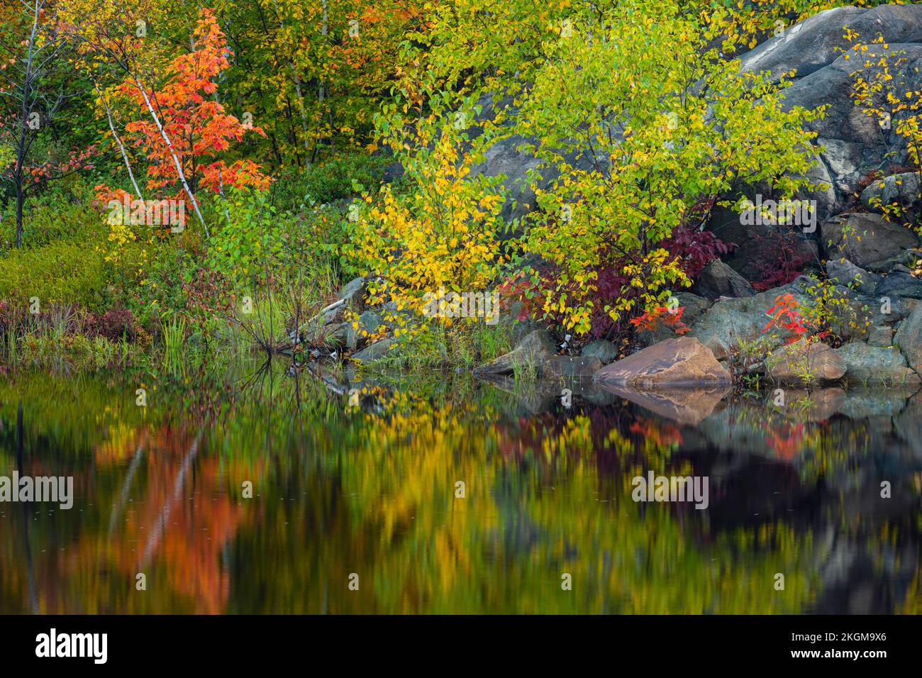 Réflexions automnales au lac Mud, Grand Sudbury, Ontario, Canada Banque D'Images