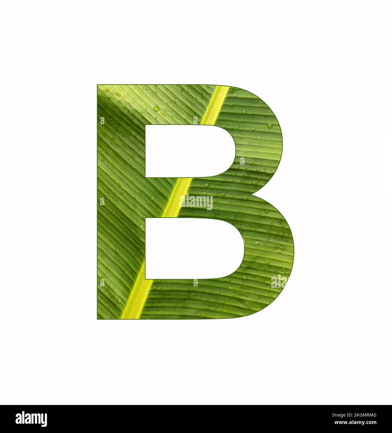 Lettre B De L'alphabet - Arrière-plan De La Feuille De Plante De Banana ...