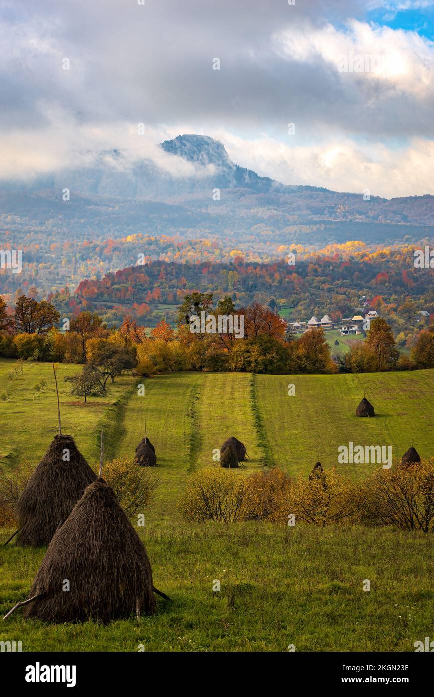 Scène d'agrotourisme en automne avec des haystacks traditionnels. Photo prise le 23rd octobre 2022 dans le village de Breb, comté de Maramures, Roumanie. Banque D'Images