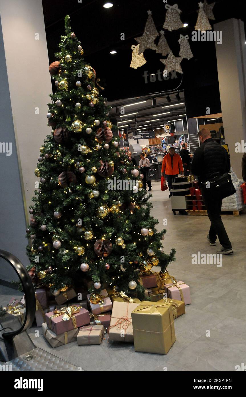 Copenhague/Danemark/23 novembre 2022/Noël arbres décoration Ind Aish
