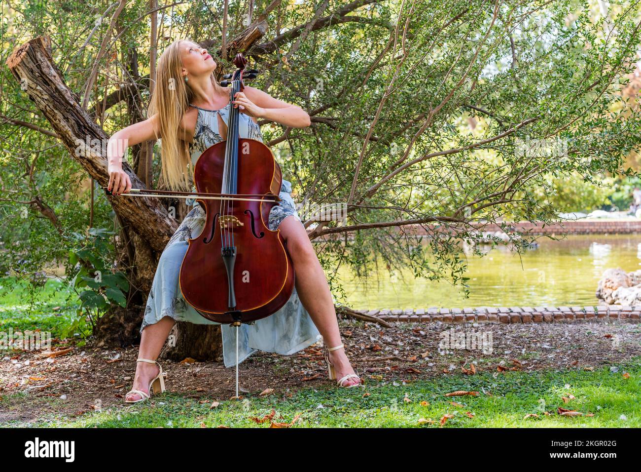Jeune femme jouant du violoncelle devant l'arbre au parc Banque D'Images