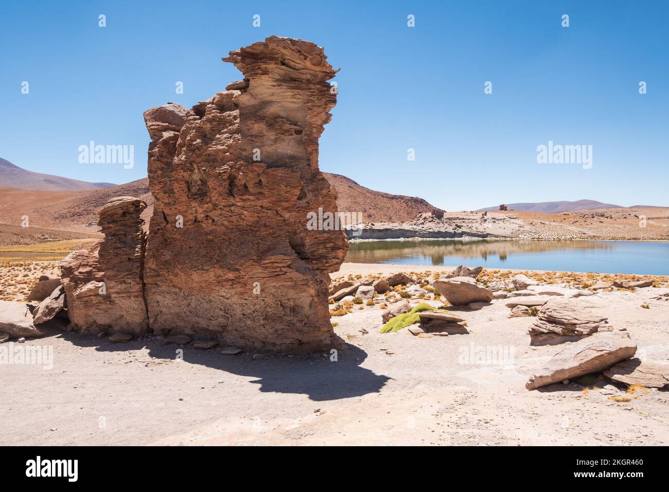 Formations rocheuses aux formes particulières près de la Laguna Negra (lagune ou lac noir) dans la province de Nor Lipez, département de Potosi, Bolivie Banque D'Images