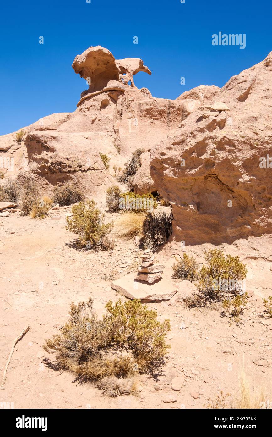 Cóndor Sin cabeza (Condor sans tête) à Valle de Rocas (Vallée des rochers) qui accueille des formations rocheuses de formes particulières dans la province de Nor Lipez, en Bolivie Banque D'Images