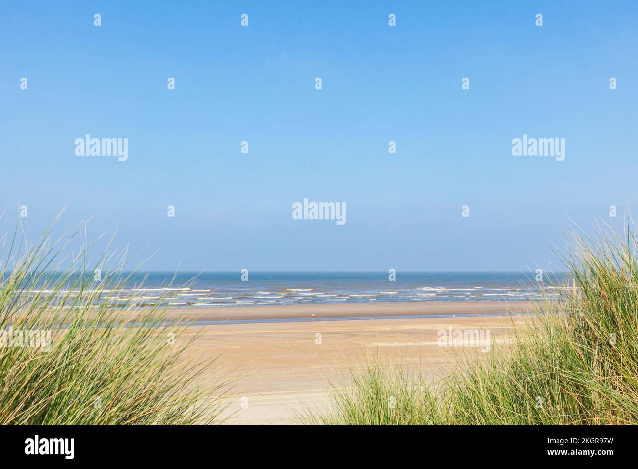Belgique, Flandre Occidentale, Plage de sable avec ligne d'horizon claire au-dessus de la mer du Nord en arrière-plan Banque D'Images