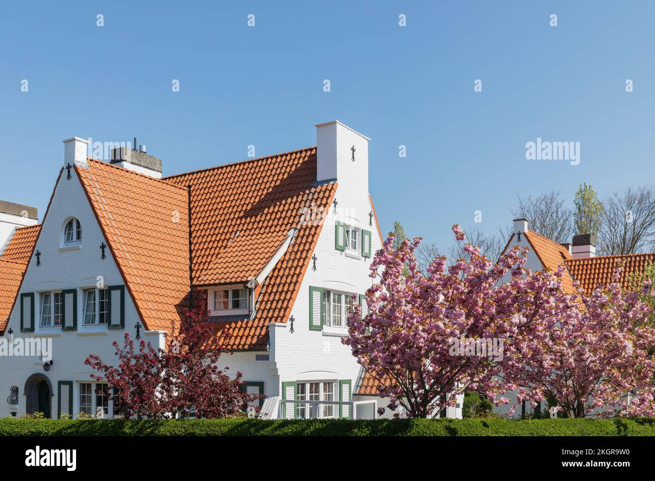 Belgique, Flandre Occidentale, de Haan, fleurs de cerisiers en fleurs en face de la villa historique Banque D'Images