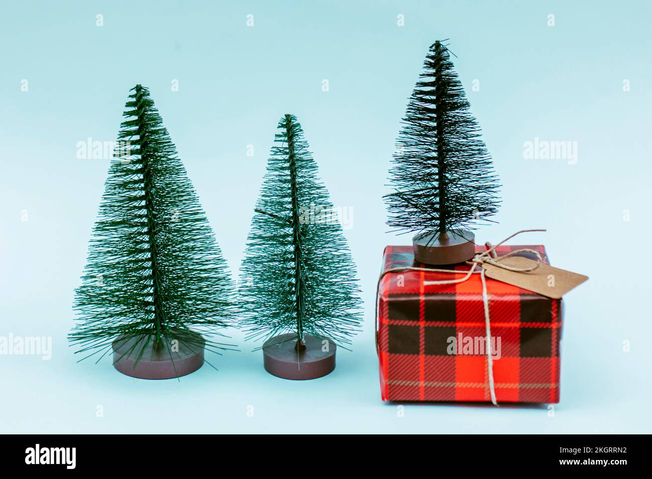 Arbres de Noël avec boîte cadeau rouge sur fond bleu Banque D'Images