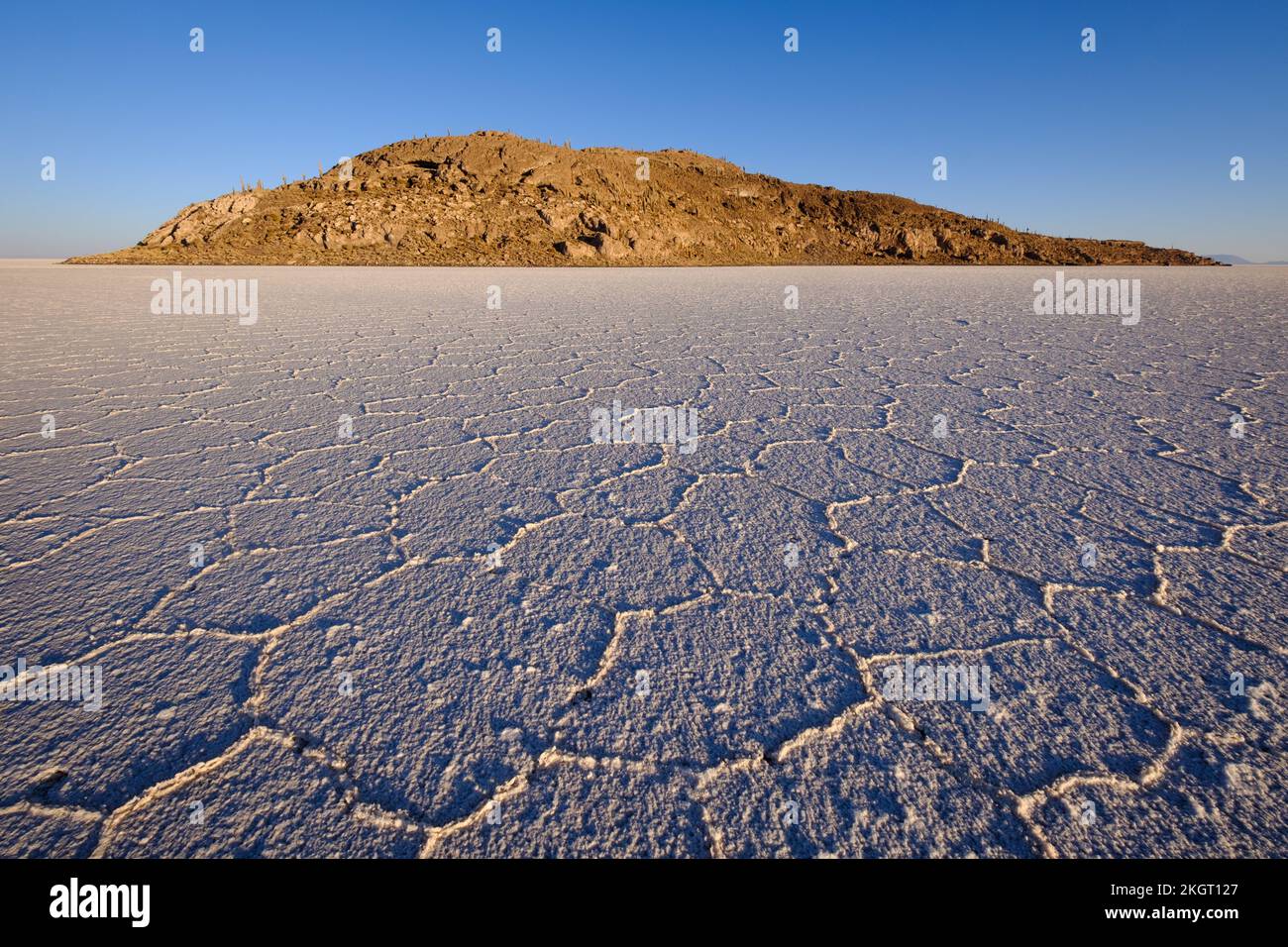Île d'Incahuasi (ou Inkawasi) au milieu de Salar de Uyuni (Uyuni Salt Flat), département de Potosi, Bolivie Banque D'Images