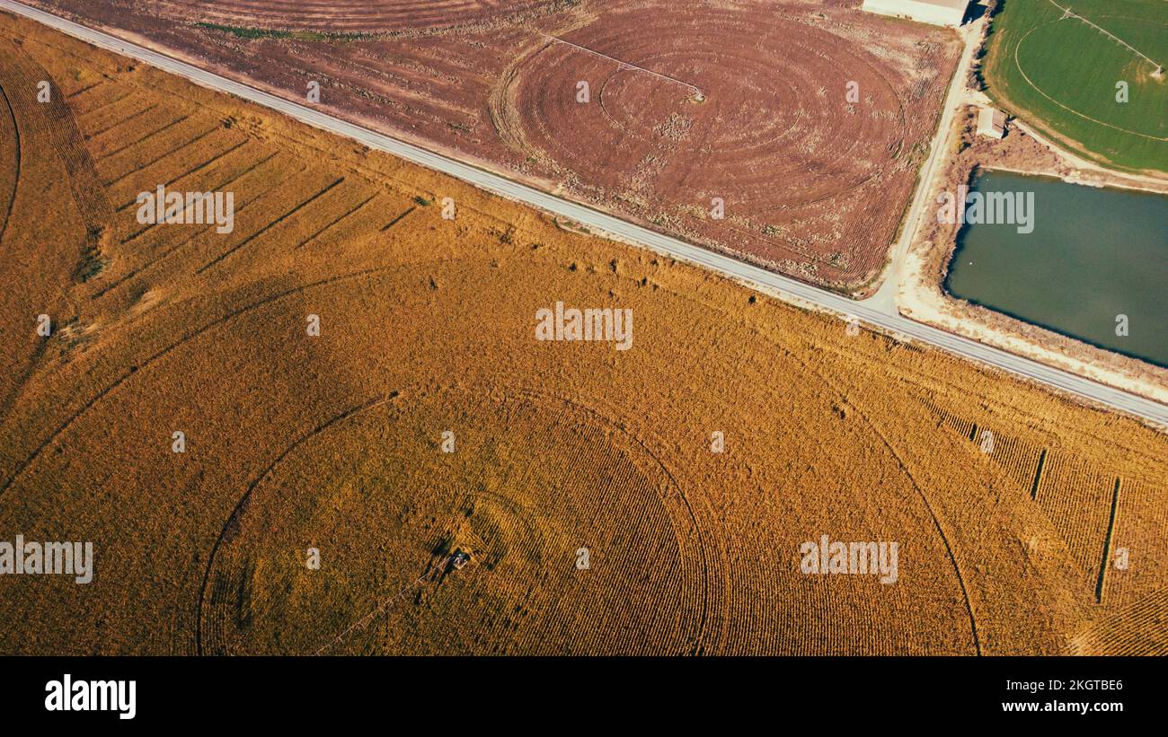 Espagne, Aragon, Huesca, vue aérienne de la route de campagne s'étendant à travers les champs de maïs sec Banque D'Images