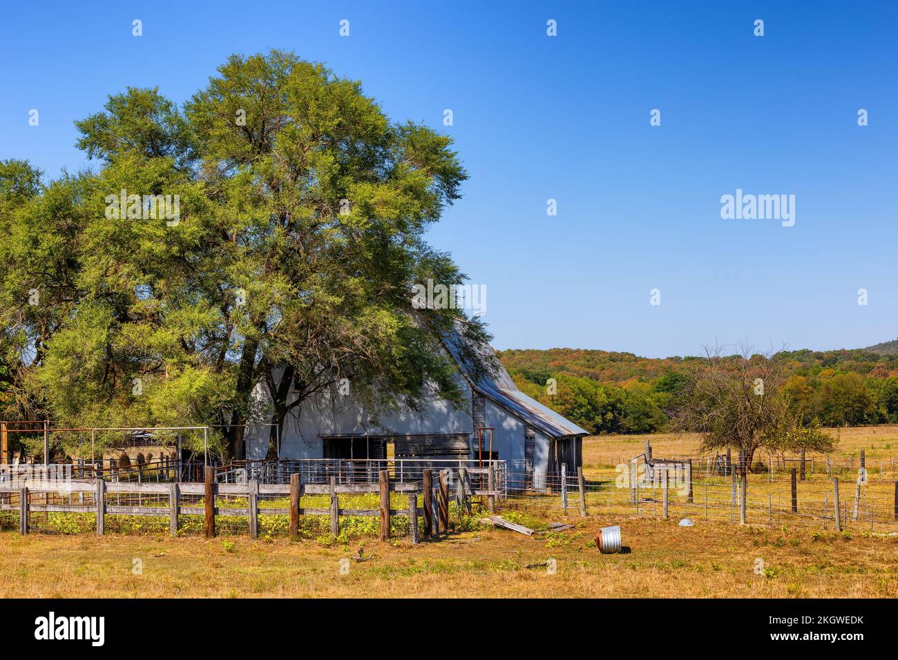 Une grange est située sous un arbre avec la cour à l'avant-plan. Dans la campagne d'Arkansa. Banque D'Images