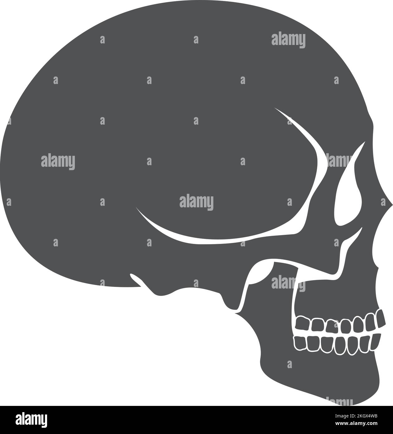 Vue latérale du crâne humain. Icône noire Anatomie Illustration de Vecteur