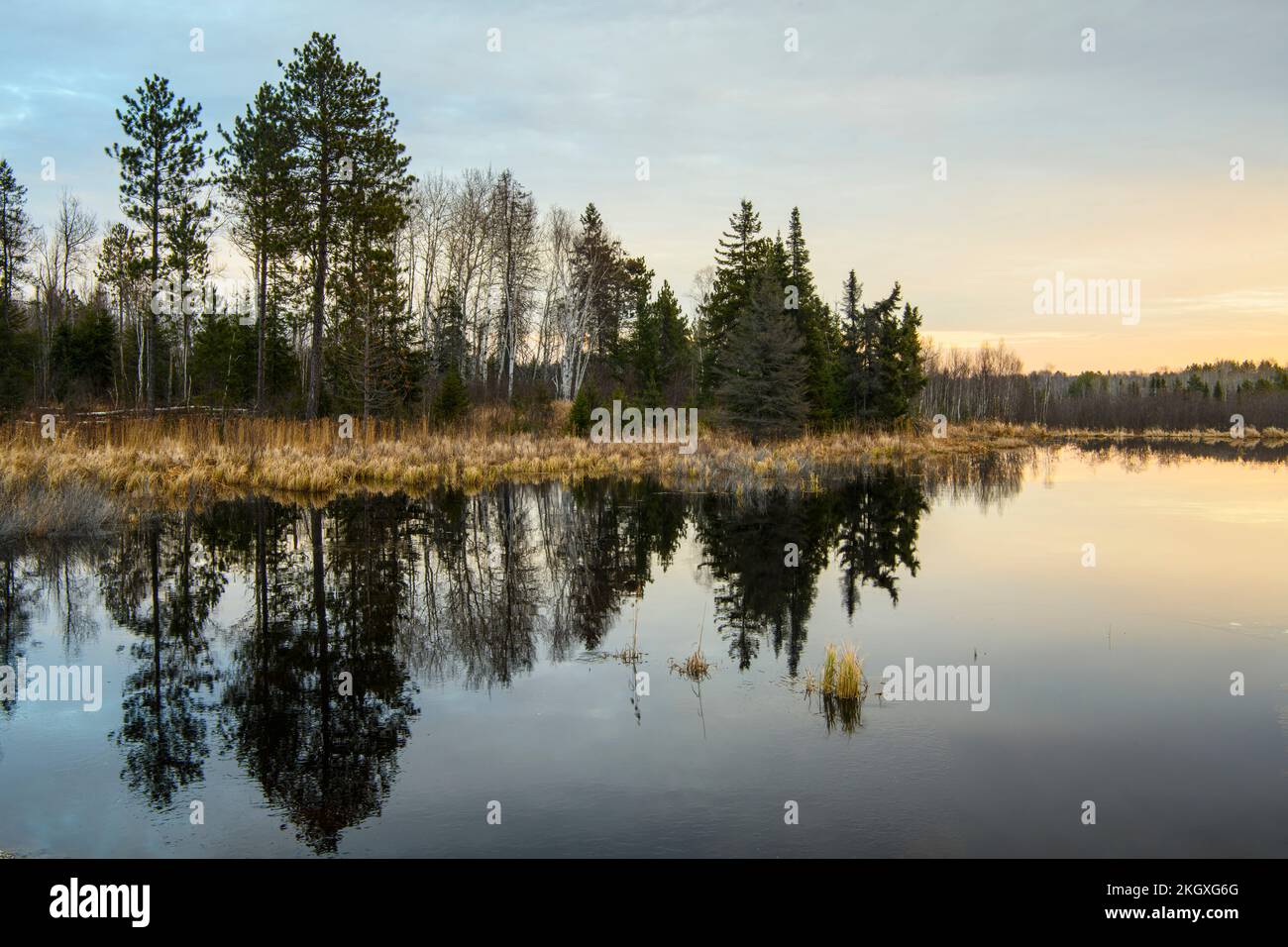 Réflexions de novembre dans un étang de castors à l'aube, Grand Sudbury, Ontario, Canada Banque D'Images